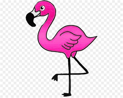 Flamingo, La Lindura, Dibujo imagen png   imagen transparente descarga ...
