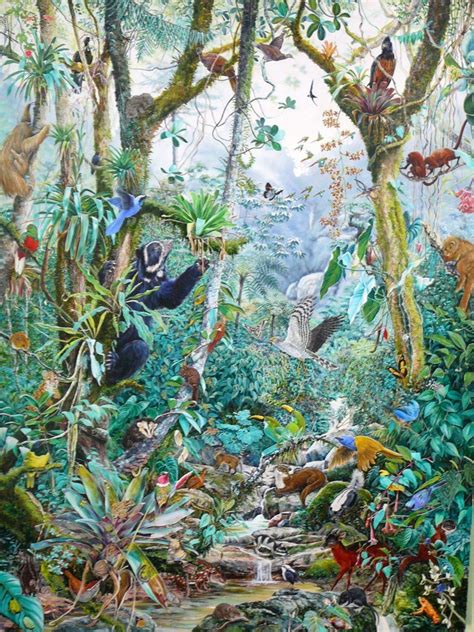 Flora y Fauna de la Selva Nublada | Venezuela in 2019 ...