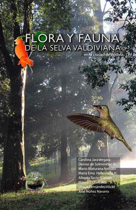 Flora y fauna de la selva valdiviana by Tierra Chaki   Issuu
