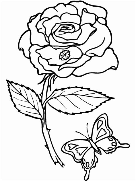Flores Dibujos Para Colorear   Dibujos1001.com