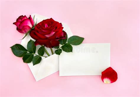 Flores Hermosas Rosas Rojas En El Sobre Postal Y Hoja En Blanco Con ...