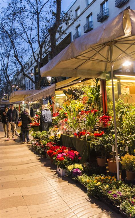 florista | Rambla de les flors, Barcelona | Lugares de ...