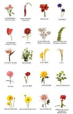 Flower Chart, know what your wedding flowers mean. | Wedding ...