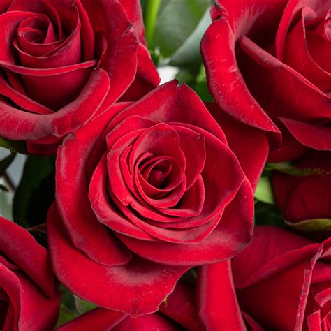Flowerist | Beautiful Bouquet Of Red Roses | From $69