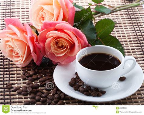 Flowers and coffee stock image. Image of drink, coffe ...