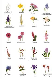 flowers for flower lovers.: flowers names. | flower power | Pinterest ...