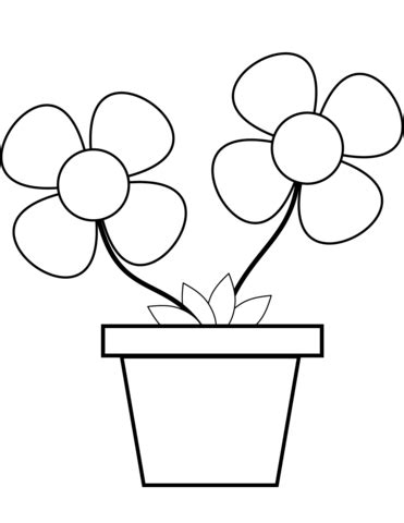 Flowers in a Pot coloring page | Free Printable Coloring Pages