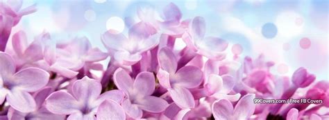 Flowers Lilac Pink Facebook Cover Photos