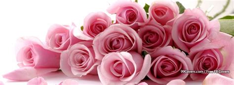 Flowers Pink Roses 3 Facebook Cover Photos