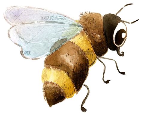 Flying bee | Dibujos de animales, Ilustraciones, Ilustraciones infantiles