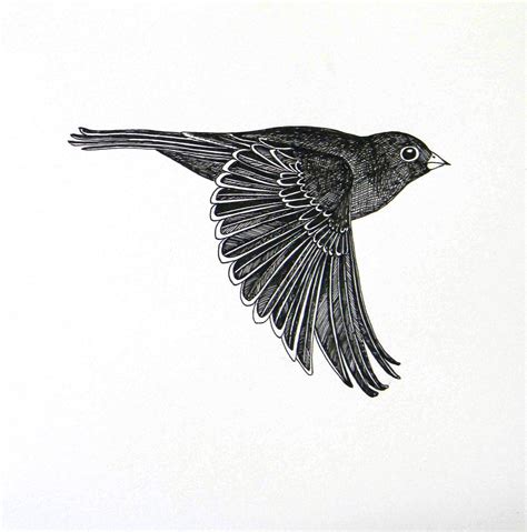 flying bird original ink drawing