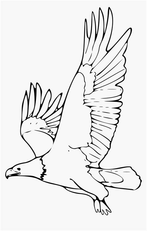 Flying Eagle Clipart Black And White Animales En Peligro De Extincion ...