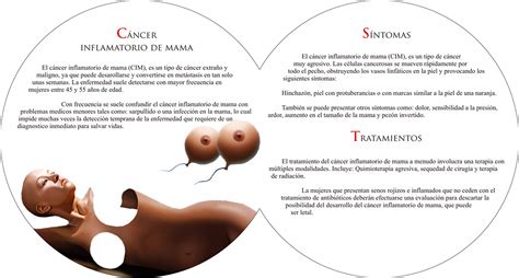 Folleto cancer de mama / Brochure on breast cancer on Behance