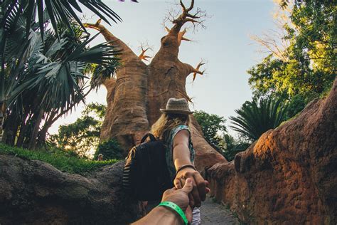 #FollowMeTo Bioparc Fuengirola | Huge fake Baobab. Canon ...