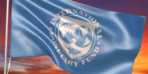 Fondo Monetario Internacional   Concepto, funciones y miembros