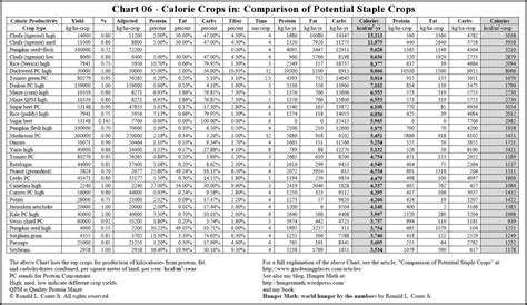 Food Calorie Chart | Template Business