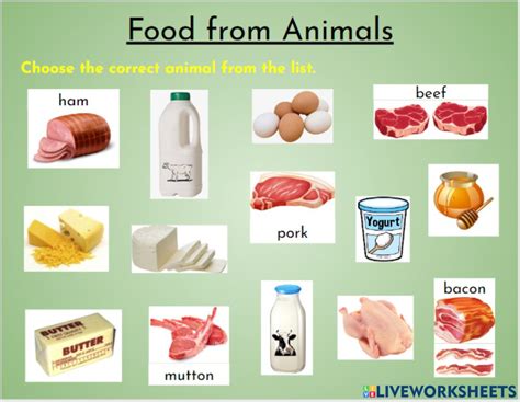 Food Form Animals worksheet
