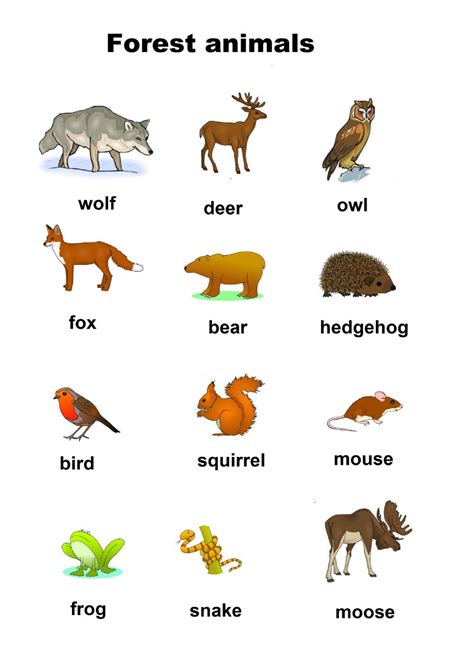 Forest animals worksheet for preschool