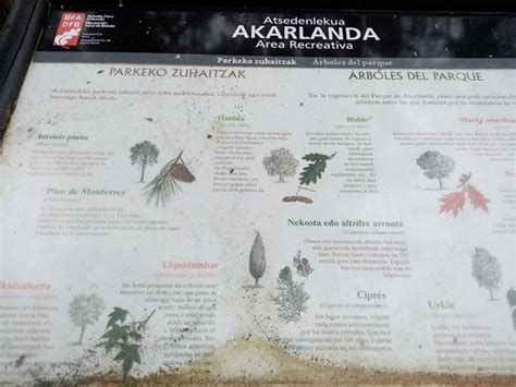 Forestal Park Bilbao  Erandio    2020 All You Need to Know ...