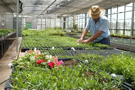 Foros sobre Jardinería y paisajismo   Verdeden