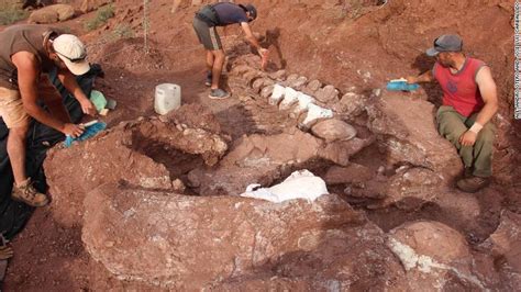 Fósiles de dinosaurio encontrados en Argentina habrían pertenecido al ...