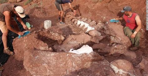Fósiles de dinosaurio encontrados en Argentina habrían pertenecido al ...