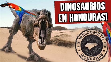 Fósiles de dinosaurios en Honduras datos curiosos YouTube