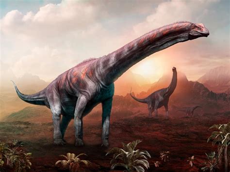 Fósiles de dinosaurios encontrados en Argentina pertenecerían a la ...