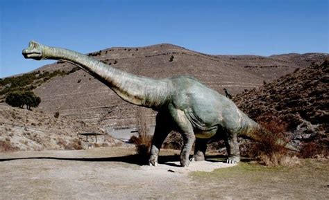 Fósiles y huellas de dinosaurios en la Reserva de la ...