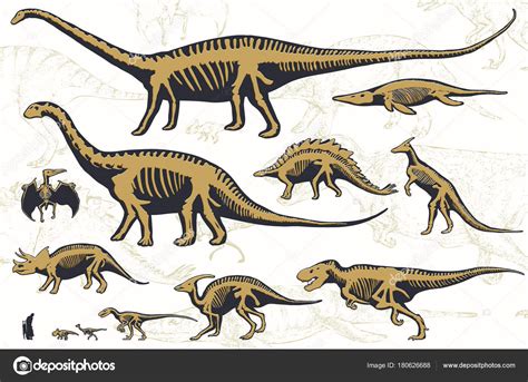 Foto: collage de dinosaurios | Conjunto Siluetas Esqueletos Dinosaurios ...