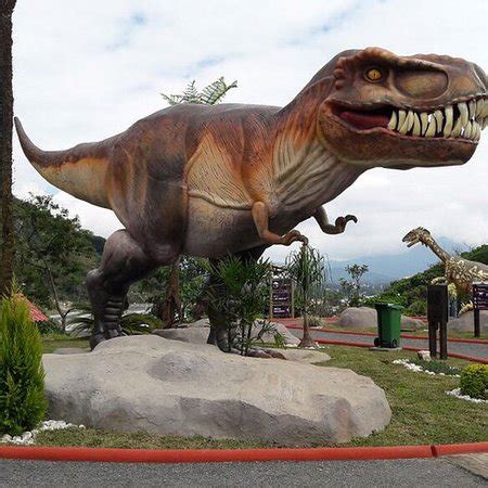Foto de Expo Parque de los Dinosaurios, Orizaba ...