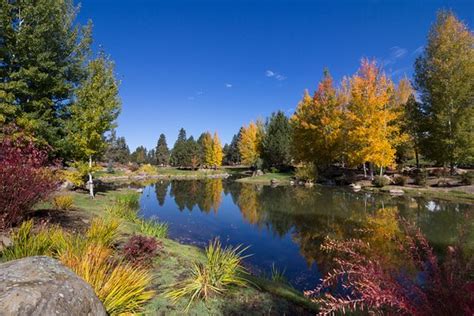 Foto de Running Y Ranch Resort, Klamath Falls: The Ruddy ...