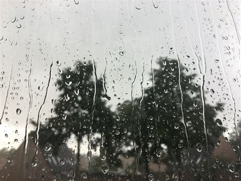 Foto de stock gratuita sobre día lluvioso, gotas de lluvia, Países Bajos