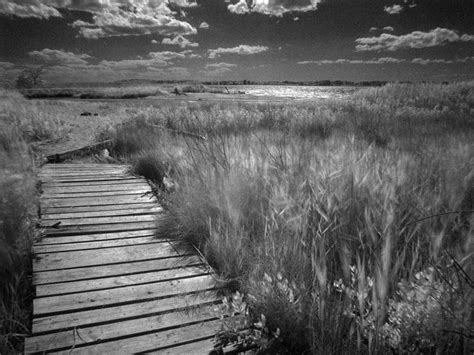 Foto de un paisaje en blanco y negro ~ Muchas Fotos