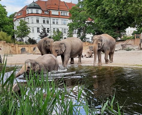 Foto: Zoo Leipzig