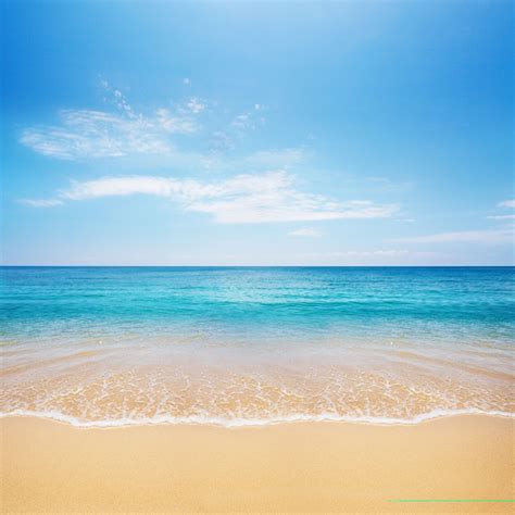 Fotomural de vinilo con playa tropical