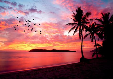 Fotomural de vinilo con puesta de sol en playa de malasi