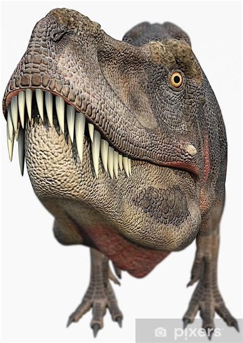 Fotomural Dinosaurios t rex cabeza grande • Pixers ...