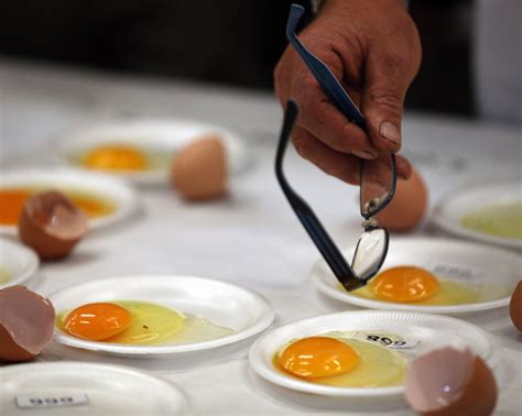 Fotos: 10 alimentos que combaten el cáncer   Huevos