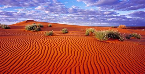Fotos: 10 formas de disfrutar en el desierto | Paisaje de desierto ...