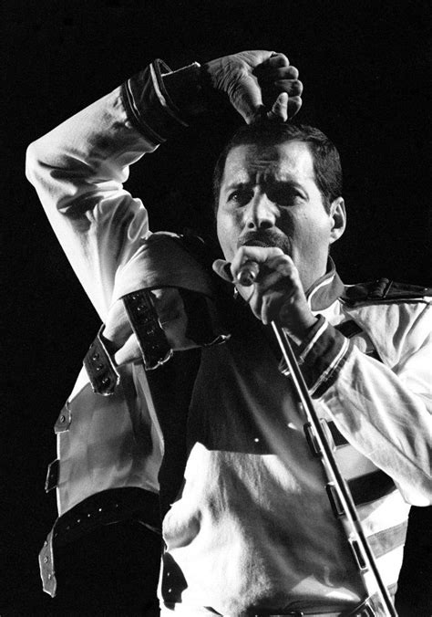 Fotos: Aniversario del nacimiento de Freddie Mercury ...