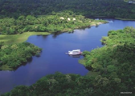 Fotos de Amazonas  Estado    Imagens selecionadas de ...