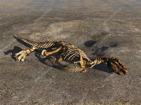 Fotos de Esqueleto de dinosaurio medio enterrado   Imagen de ...