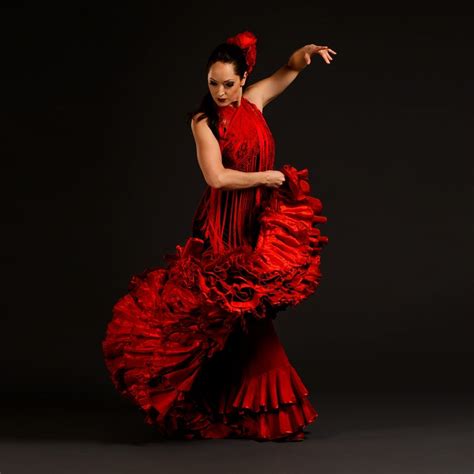 Fotos De Flamenco   SEONegativo.com