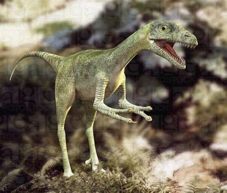 Fotos de todos los dinosaurios que existieron   Imagui