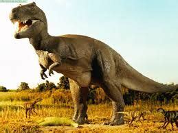fotos dinosaurios reales   Buscar con Google | Dinosaurio ...