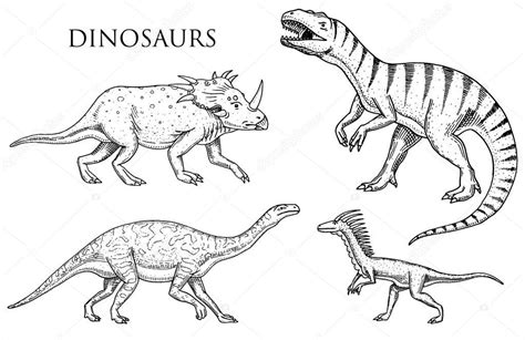 Fotos: dinosaurios reales para dibujar | Dinosaurios tiranosaurio rex ...