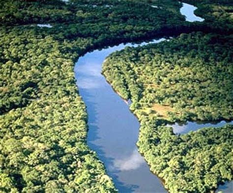 Fotos e Sobre o Amazonas   Acemprol.com
