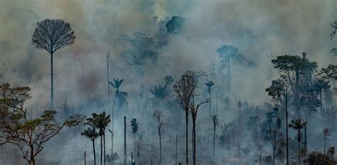Fotos: El Amazonas devorado por los incendios, en imágenes ...