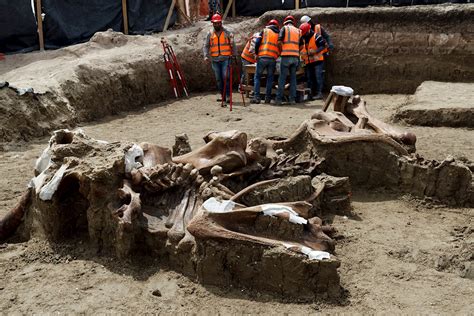 FOTOS | En el aeropuerto de Santa Lucía hallan restos de mamuts ...